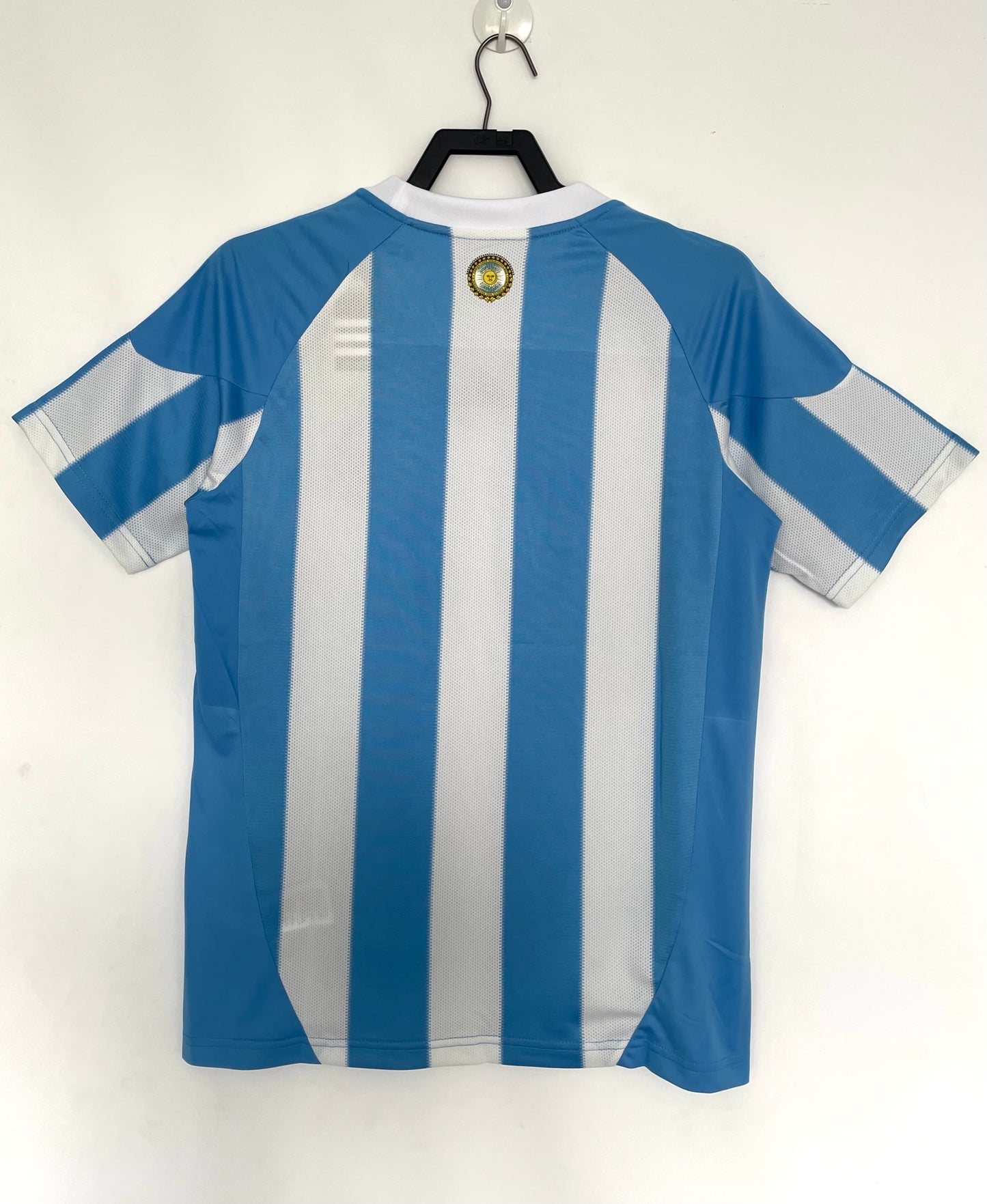Argentina 2010 home shirt