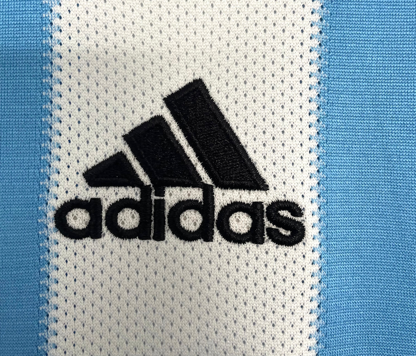 Argentina 2010 home shirt