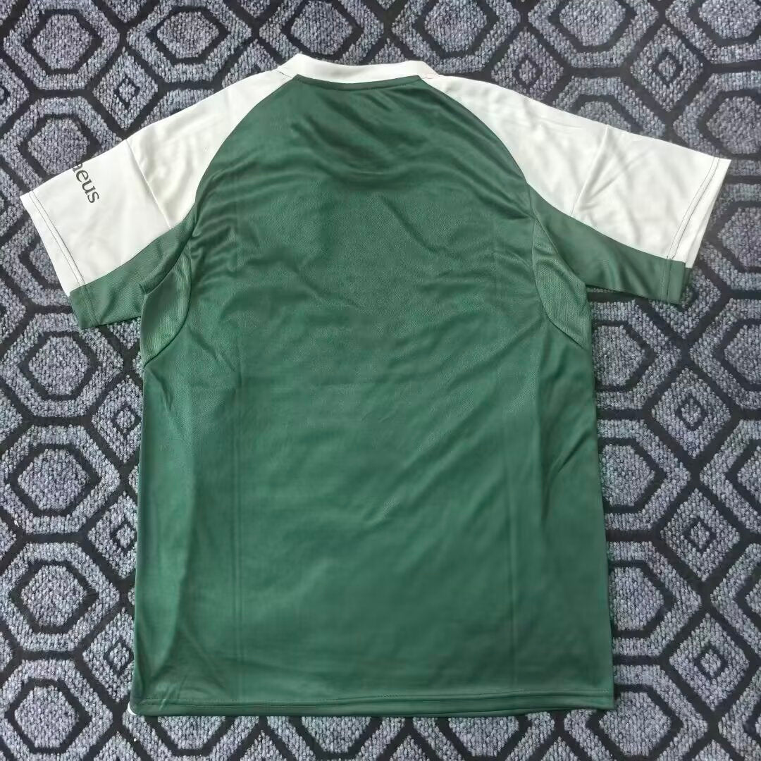 Panathinaikos 25/26 home shirt