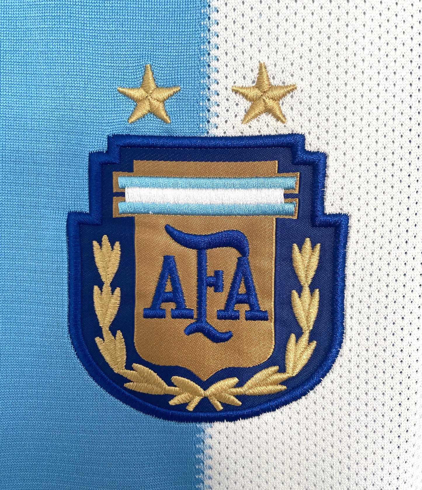 Argentina 2010 home shirt