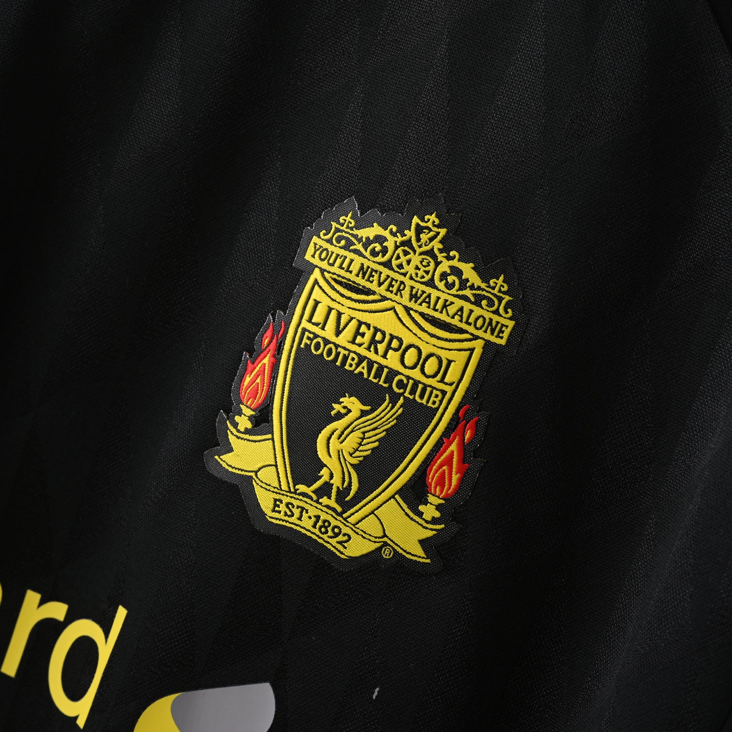 LIVERPOOL 10/11 third shirt