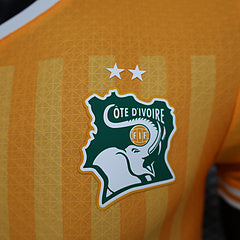 Ivory coast 2024 shirt