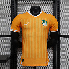 Ivory coast 2024 shirt